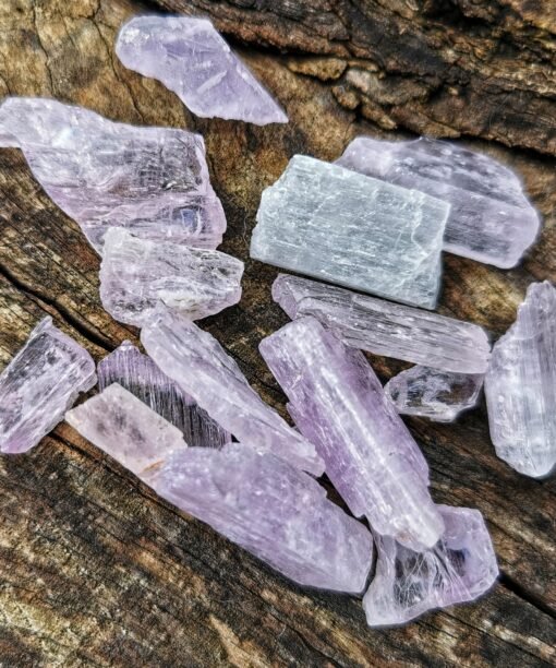 Alternative view of AAA+ Kuncitas (Afganistanas)