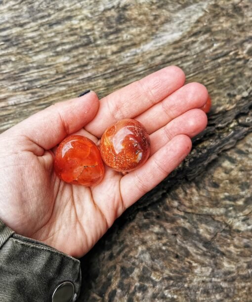 Alternative view of Indijos Karneolis