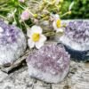 Ametisto drūza - smilkalinė