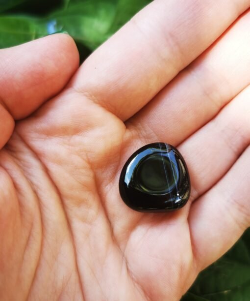 Alternative view of JUODASIS ONIKSAS