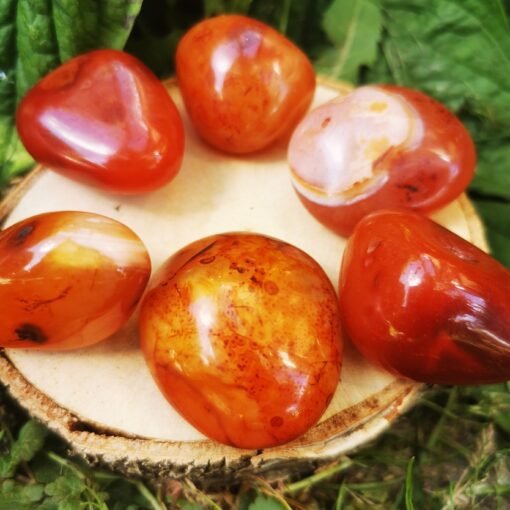 Extra Kokybės Karneolis