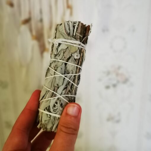 Baltasis Šalavijas ir Pipirmėtė