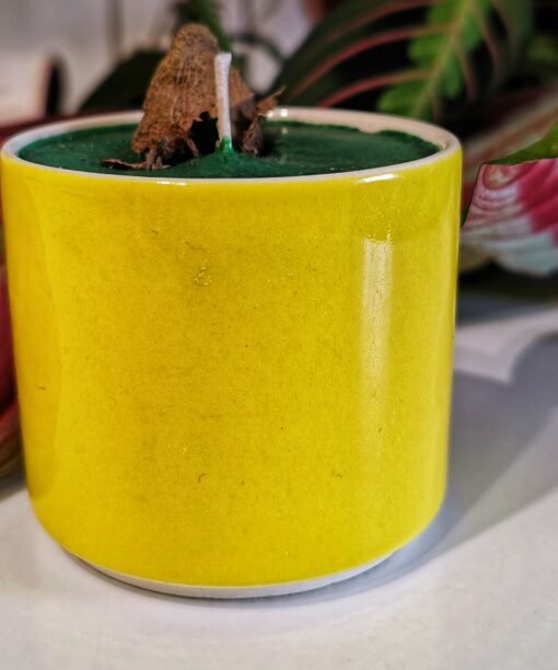 Alternative view of Soliaro žvakė inde