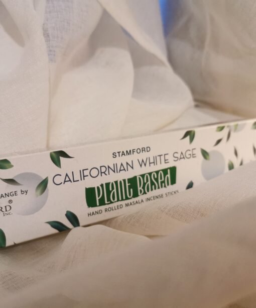 Alternative view of Baltasis Kalifornijos Šalavijas